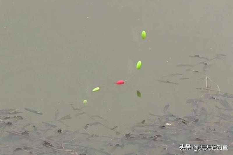 春季钓鱼方法