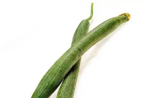 丝瓜的种植方法视频