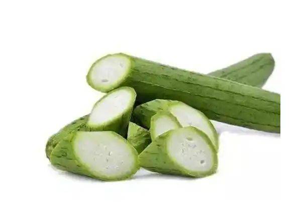 丝瓜的种植方法视频