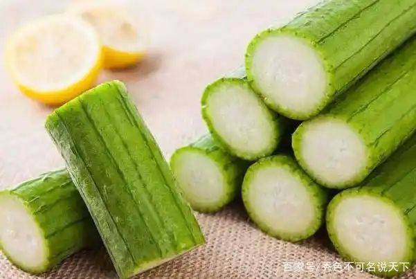 丝瓜的种植方法视频