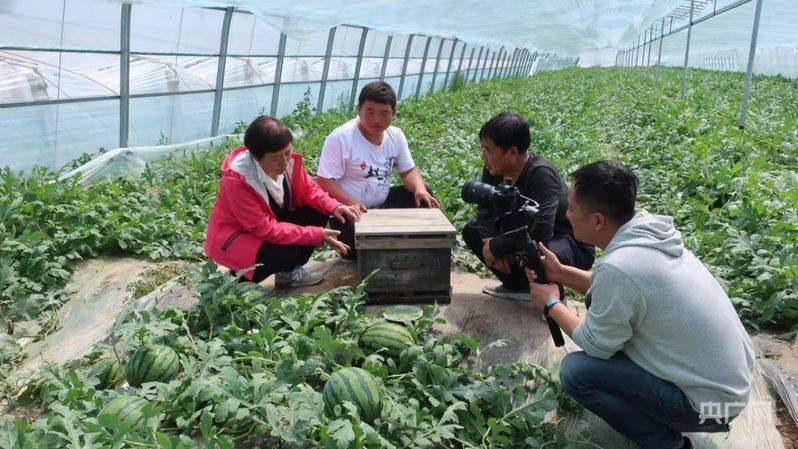 大棚种植技术