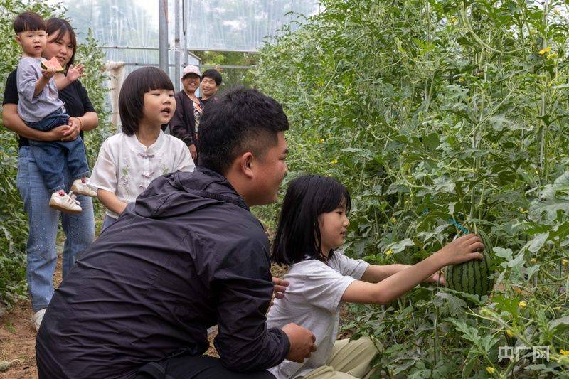 大棚种植技术