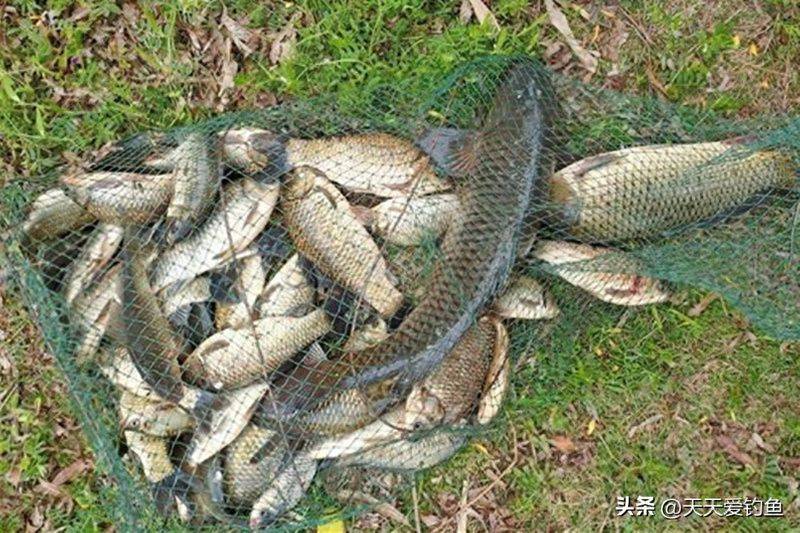 春季钓鱼方法