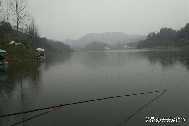 春季钓鱼方法