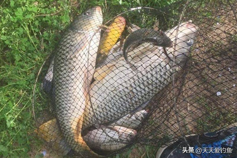 春季钓鱼方法