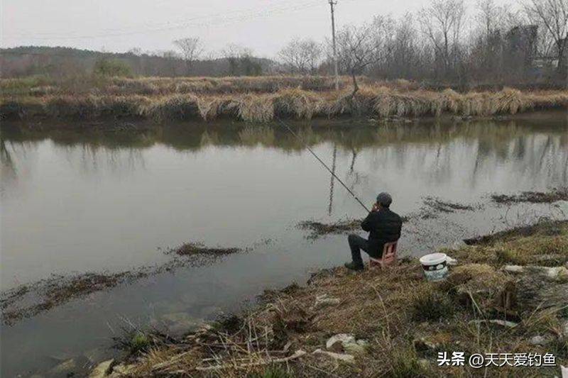 春季钓鱼方法