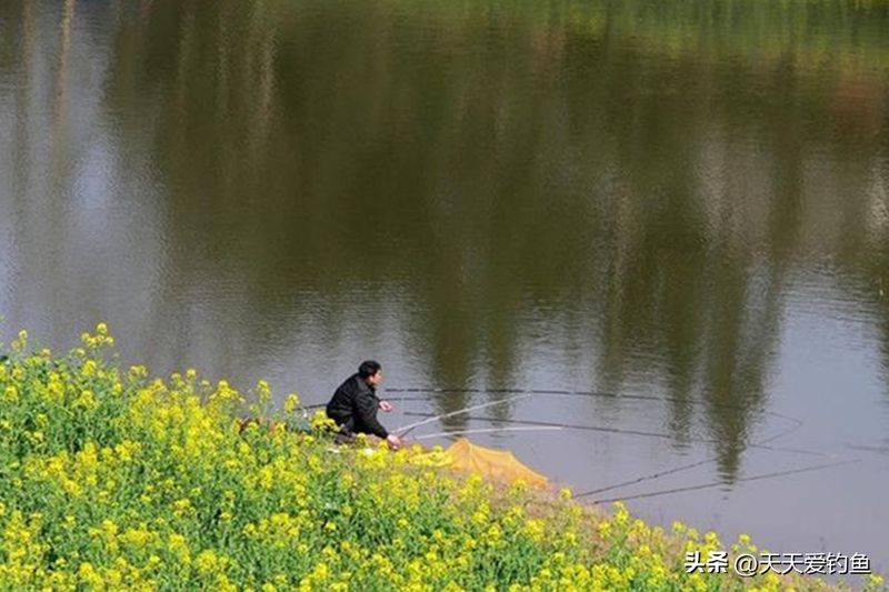 春季钓鱼方法