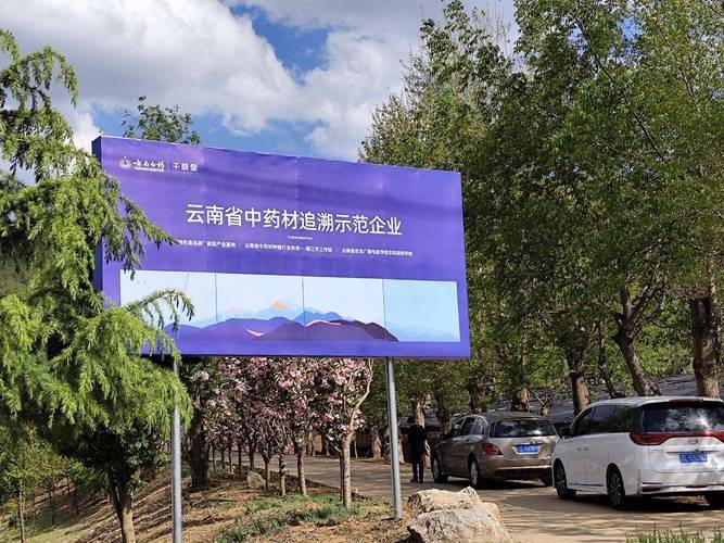 云南中医药大学:论文写在大地上 成果惠及百姓家 10年攻关助力永平中药材种植