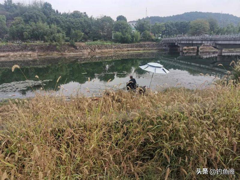 春季钓鱼方法