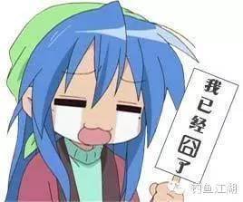 路亚鱼竿价格