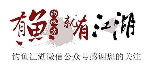 路亚鱼竿价格