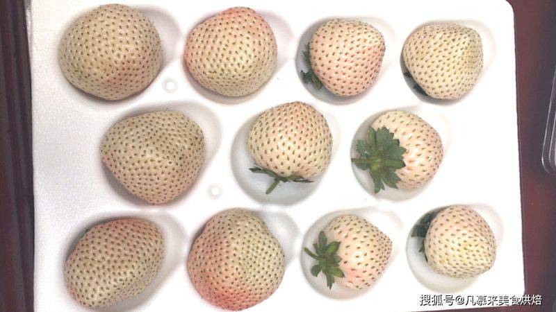 草莓西红柿种植技术