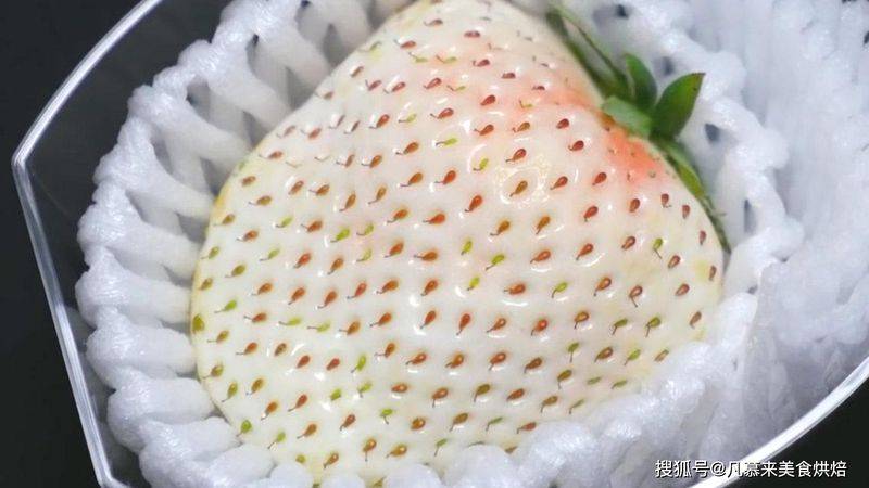 草莓西红柿种植技术