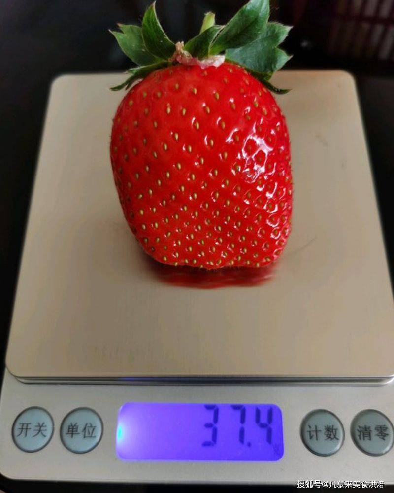 草莓西红柿种植技术