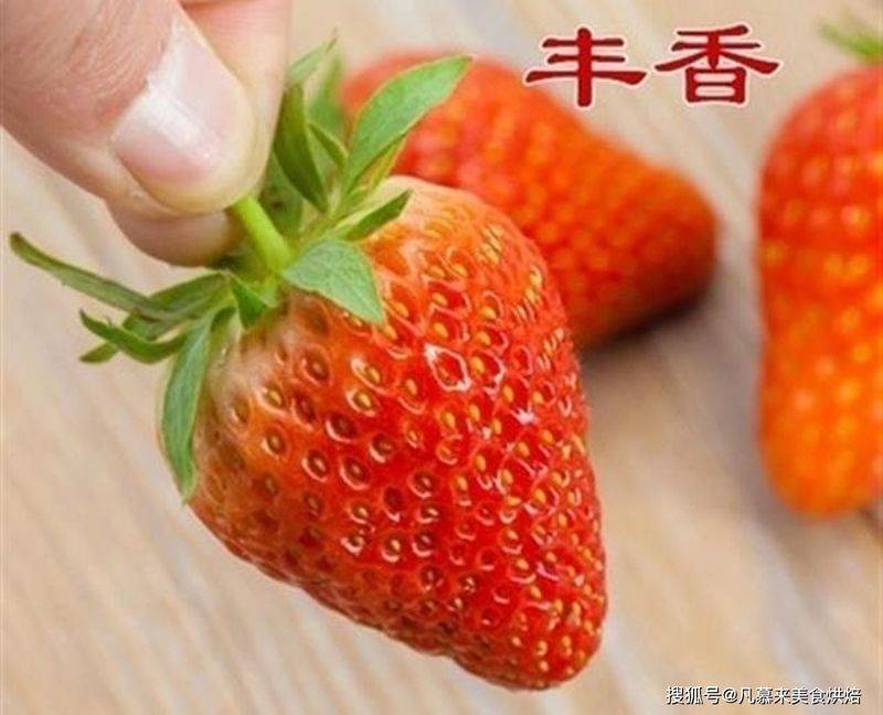 草莓西红柿种植技术