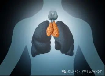 胸腺肽价格网网址