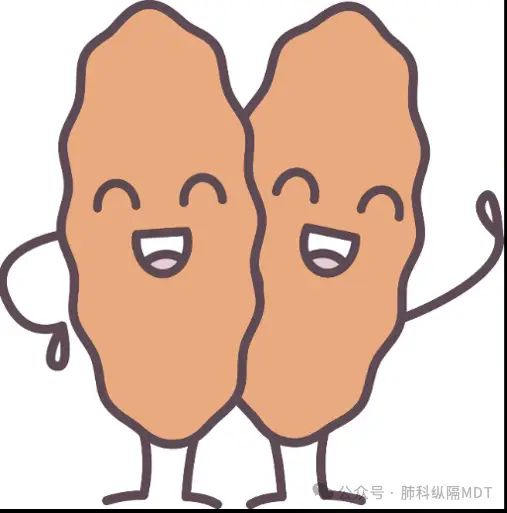 胸腺肽价格网网址