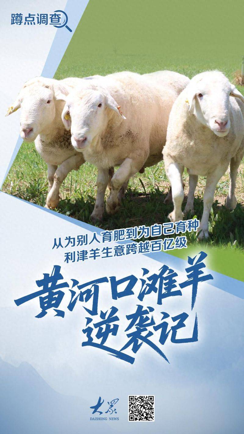 羊肉全产业链追溯步骤