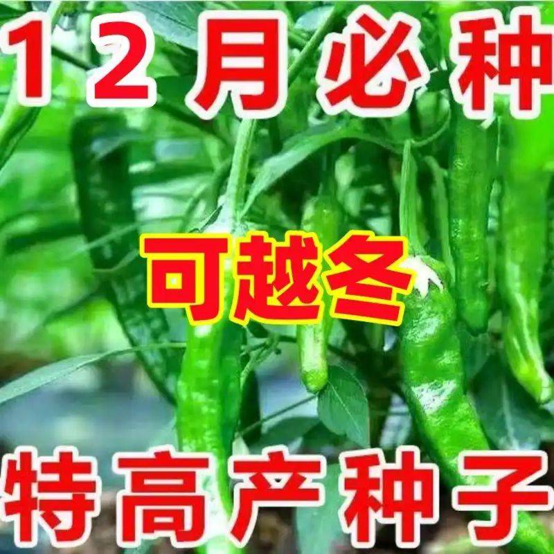 水果种植新品种