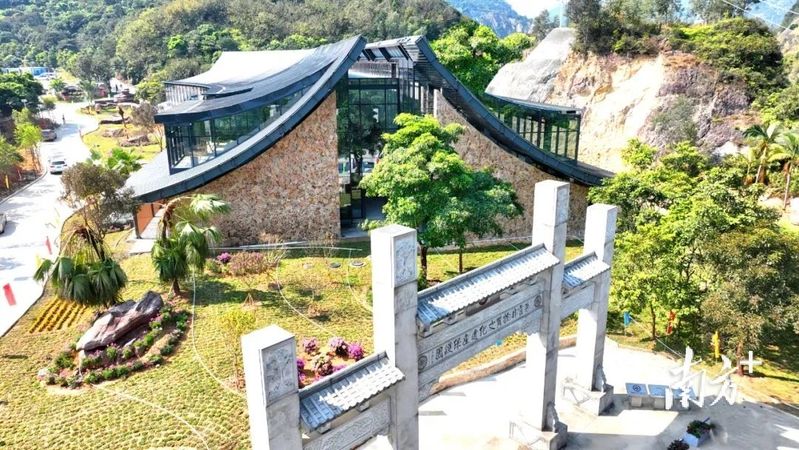 莞香树种植技术