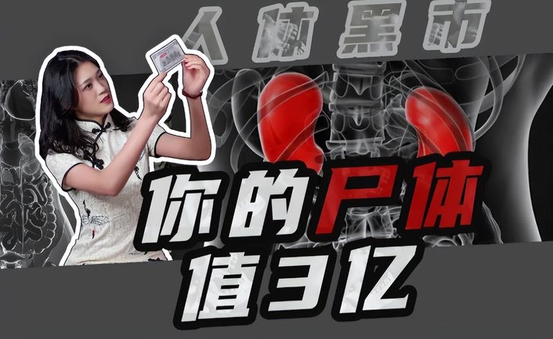 卖一个肾多少钱