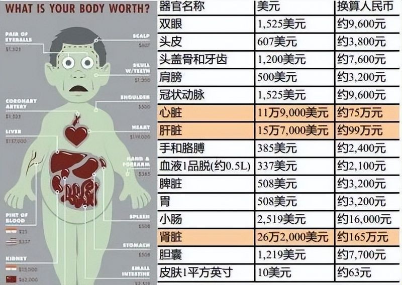 卖一个肾多少钱