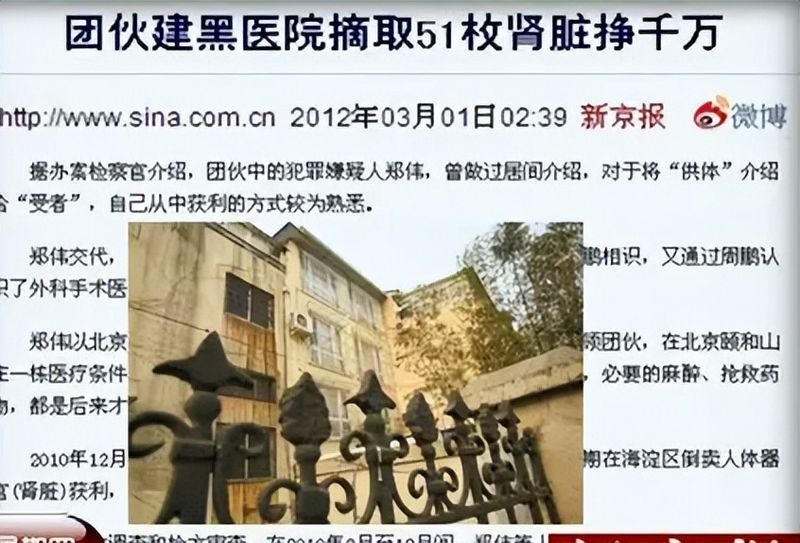 卖一个肾多少钱