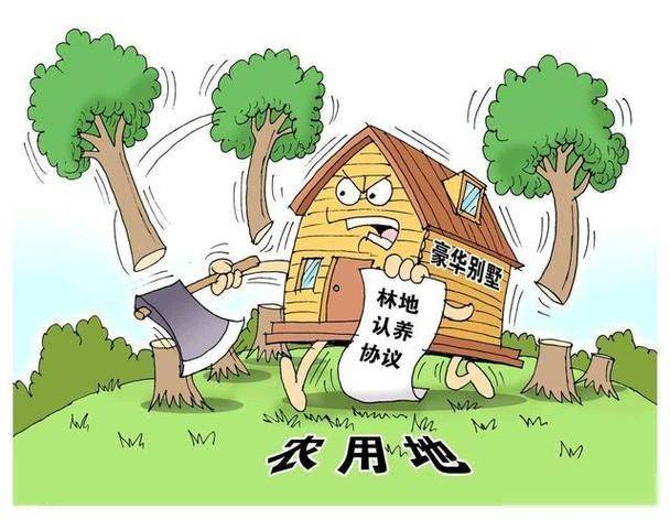 草皮种植技术