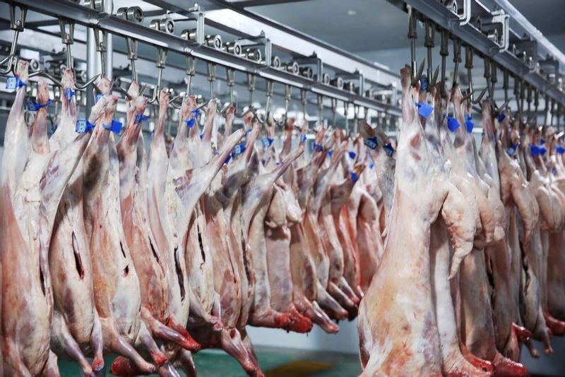 羊肉全产业链追溯步骤