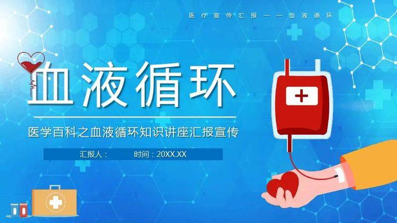 胸腺肽价格网网址