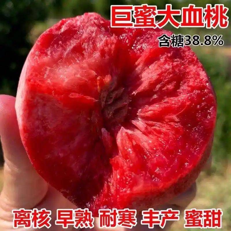 水果种植新品种