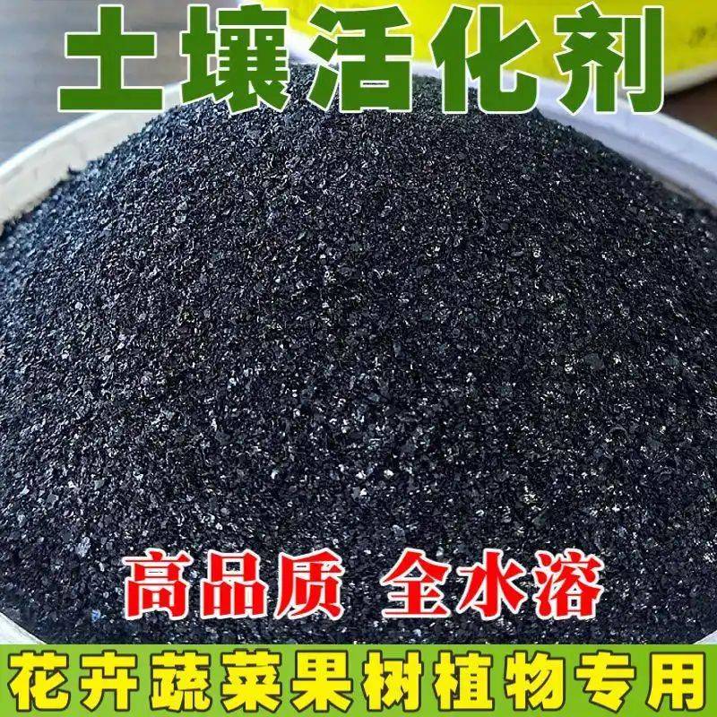 水果种植新品种