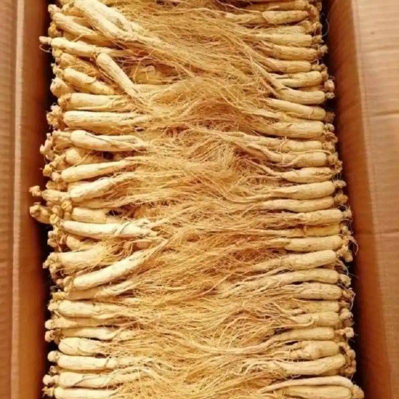 水果种植新品种