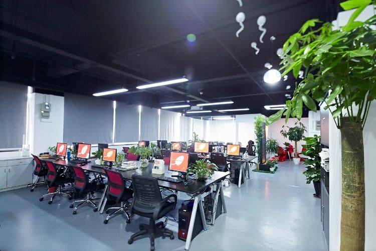 网站怎么做方便优化推广