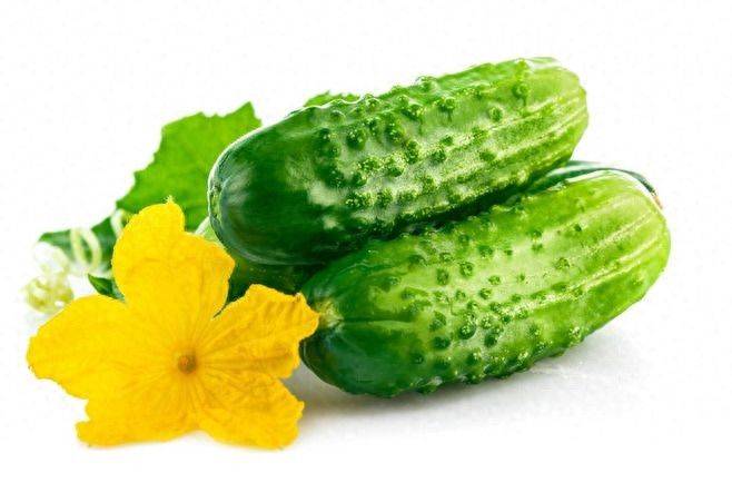 黄瓜种植方法