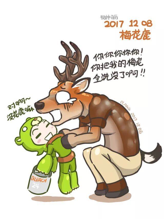 梅花鹿小崽一只多少钱