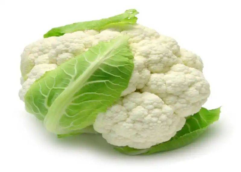花菜种植时间和方法