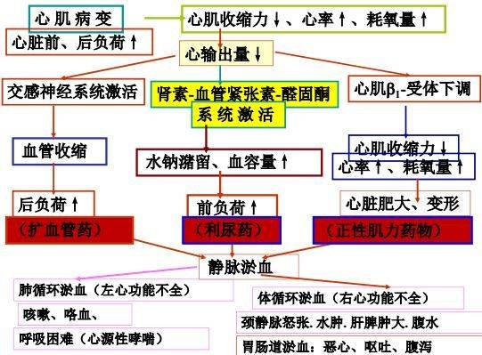 华佗再造丸多少钱