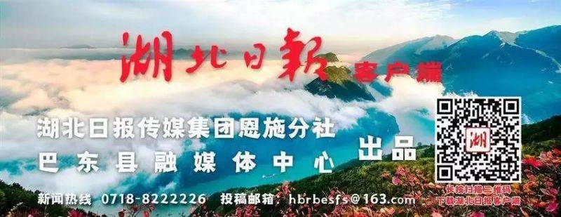 金银花种植技术与管理