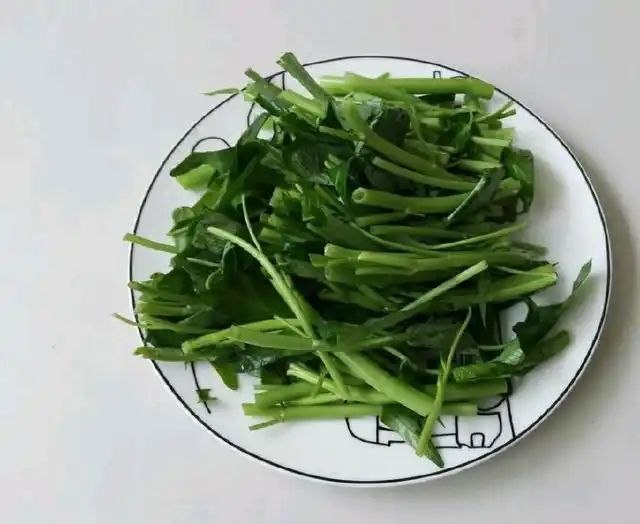 盆栽空心菜的种植方法