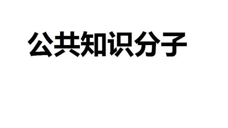 什么是公共知识分子