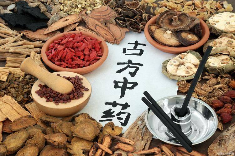 金银花种植技术2026金银花苗价格