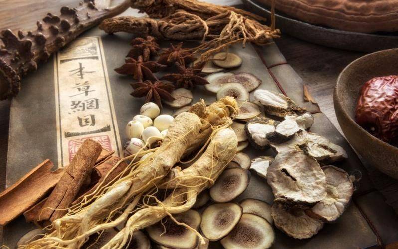 金银花种植技术2026金银花苗价格