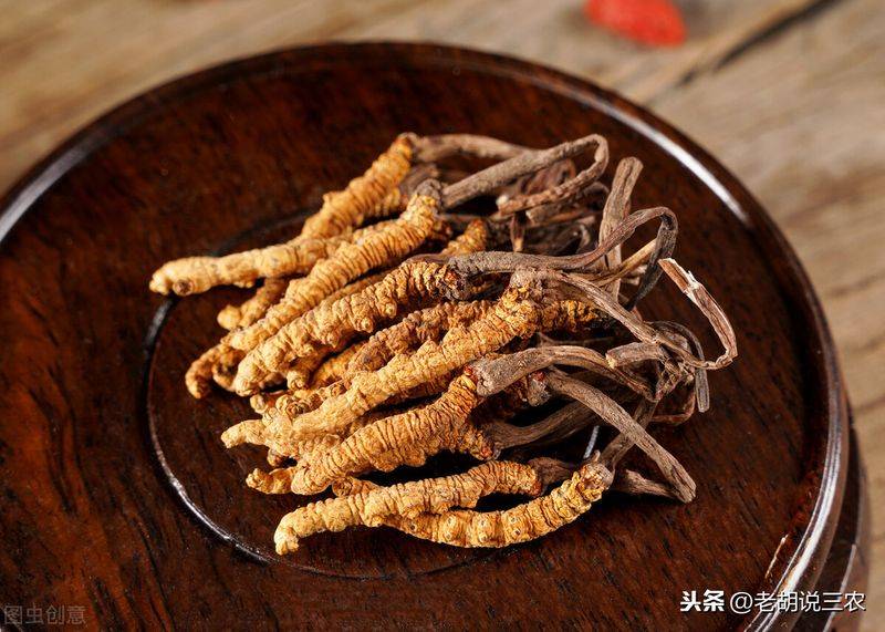 冬虫夏草多少钱一斤