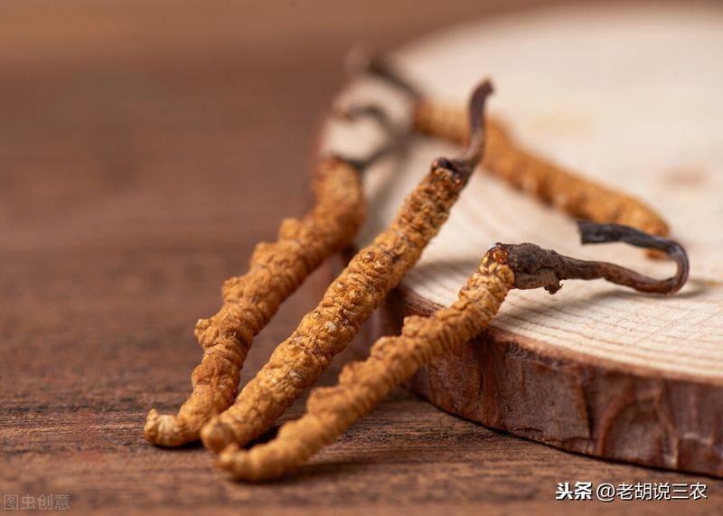 冬虫夏草多少钱一斤