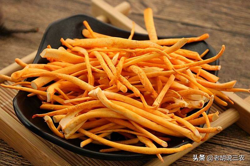 冬虫夏草多少钱一斤