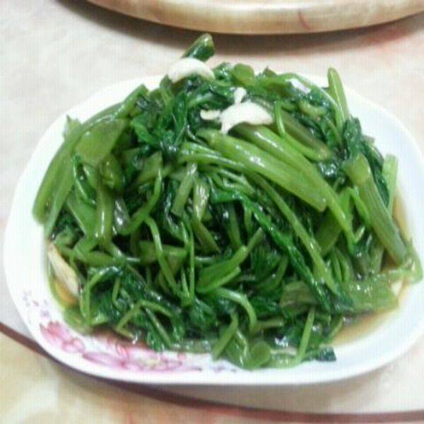盆栽空心菜的种植方法