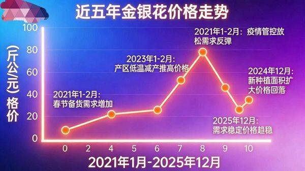 金银花种植技术2026金银花苗价格