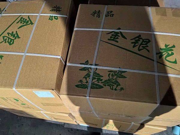 金银花种植技术2026金银花苗价格