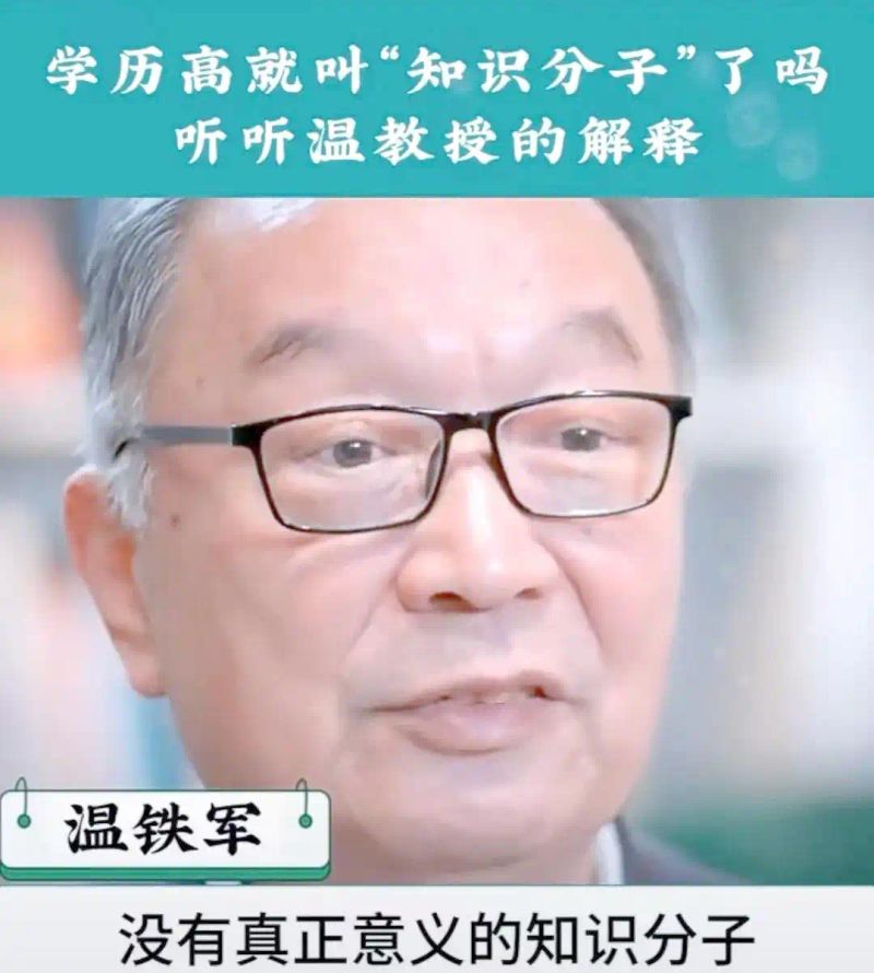 什么是公共知识分子